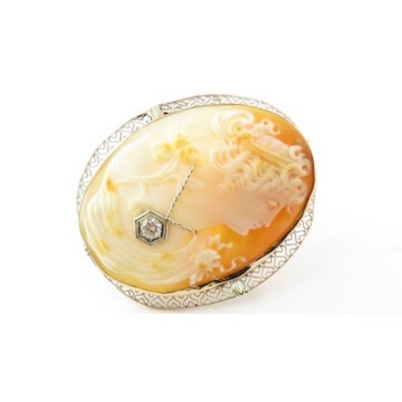 Vintage 14 Karat Yellow Gold and Diamond Cameo Brooch/Pendant #4435 - Picture 8 of 8